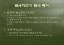 틈새라면 _빨개떡 분석조사(PPT+TEXT) 4페이지