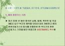 중국 경제와 지리 분석 41페이지
