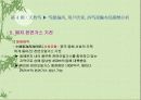 중국 경제와 지리 분석 42페이지