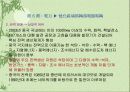 중국 경제와 지리 분석 62페이지