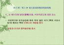 중국 경제와 지리 분석 96페이지
