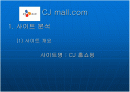  인터넷 마케팅 (cj mall) 2페이지