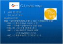  인터넷 마케팅 (cj mall) 4페이지