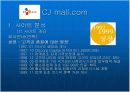  인터넷 마케팅 (cj mall) 5페이지