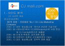  인터넷 마케팅 (cj mall) 6페이지