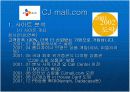  인터넷 마케팅 (cj mall) 7페이지