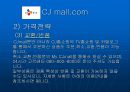  인터넷 마케팅 (cj mall) 46페이지