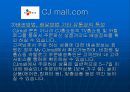  인터넷 마케팅 (cj mall) 47페이지