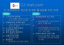 인터넷 마케팅 (cj mall) 54페이지