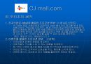  인터넷 마케팅 (cj mall) 57페이지