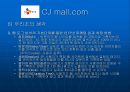  인터넷 마케팅 (cj mall) 61페이지