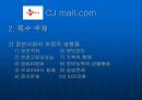  인터넷 마케팅 (cj mall) 65페이지