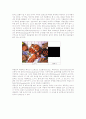  독일의 전통문화에 관한 레포트 10페이지