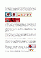  색과 마케팅 2페이지