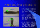  손톱깎이에 적용된 지레의 원리 2페이지