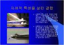  손톱깎이에 적용된 지레의 원리 4페이지