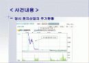 금융사고 조사 5페이지