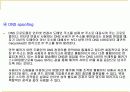  IP Spoofing 과 IP Sniffing 5페이지