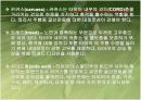  자동차의 휠과 타이어 발표자료 3페이지