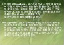  자동차의 휠과 타이어 발표자료 4페이지