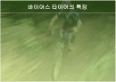  자동차의 휠과 타이어 발표자료 15페이지