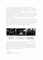 남성, 여성의 콤플렉스에 관한 연구 6페이지