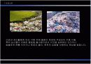  문학과 환경의 연관성(김광섭著 성북동 비둘기) 15페이지