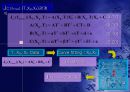  에미터-베이스 접합구조와 온도변화에 따른 HBT의 DC및 AC 특성 27페이지