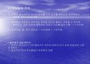 응집과 플록형성 13페이지