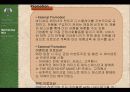 바디샵의 사례로 보는 그린마케팅 23페이지