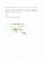 [패션 마케팅] 멀티브랜드샾 5페이지