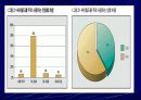 싸이월드의 소비자행동 9페이지