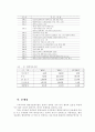 전자정부의 비전과전략 3페이지