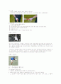 테니스에 관한 간결한 레포트 역사 스트로크 그립 4페이지