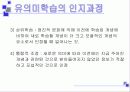 유의미 학습이론 13페이지