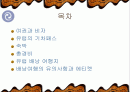 유럽배낭여행계획서발표(경비포함) 2페이지