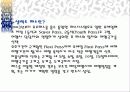 유럽배낭여행계획서발표(경비포함) 20페이지