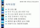 유럽배낭여행계획서발표(경비포함) 29페이지
