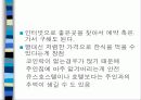 유럽배낭여행계획서발표(경비포함) 31페이지