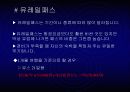유럽배낭여행계획서발표(경비포함) 35페이지