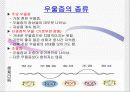 자유주제 발표 우울증 7페이지