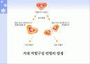 식품의 특수성분 23페이지