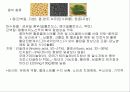 농산식품과 건강 4페이지