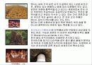 농산식품과 건강 17페이지