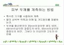 비만에 관한 발표 15페이지