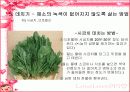 식품과 과학 14페이지