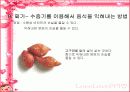 식품과 과학 20페이지