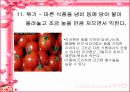 식품과 과학 22페이지