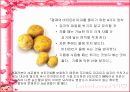 식품과 과학 24페이지