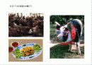 축산식품과 건강 3페이지